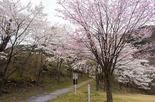 渡良瀬河川公園