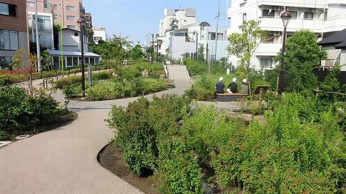 世田谷区立シモキタ雨庭広場