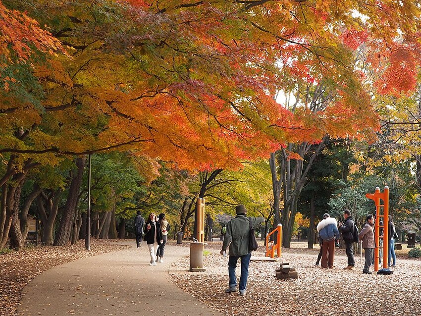 井の頭恩賜公園