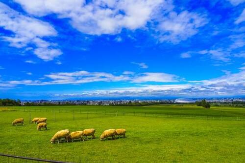 旅行プランのサムネイル