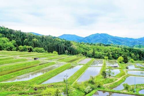 大原新田
