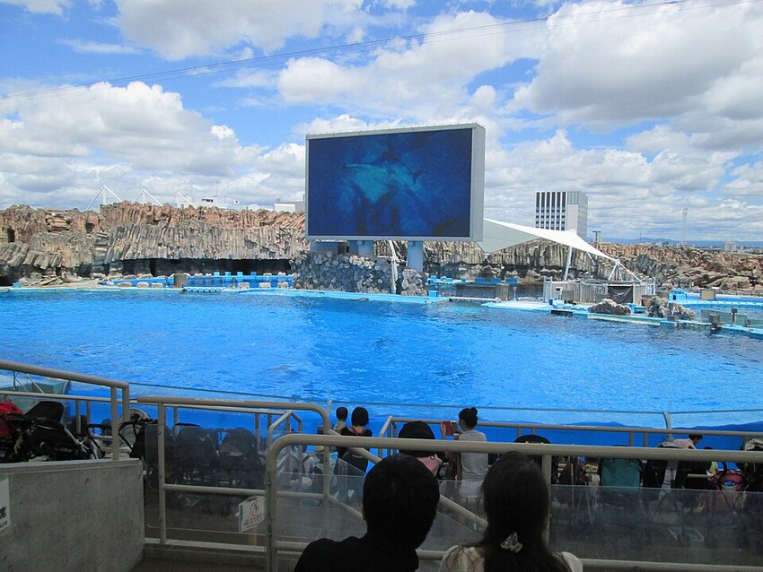 名古屋港水族館
