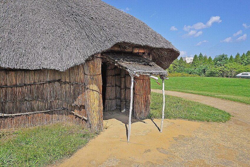 三内丸山遺跡