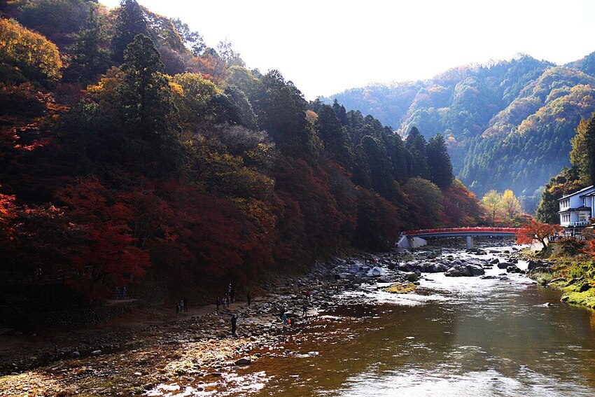 香嵐渓・トヨタ会館・豊田市美術館を巡る のイメージ