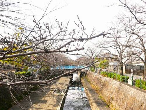 美登鯉橋