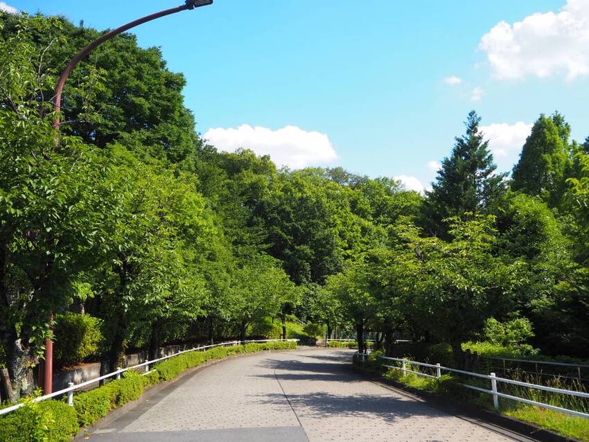 瑞穂町ビューパーク(坂道)