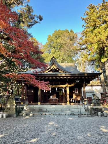 阿蘇神社