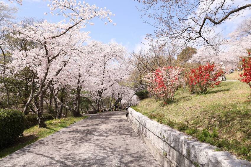 岡山でおすすめ!厳選観光スポット4選 のイメージ